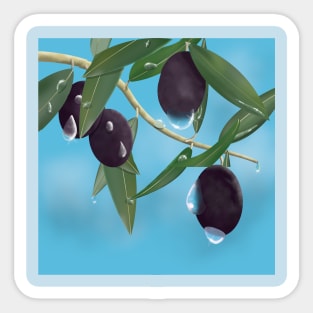 Olives with water drops Sticker